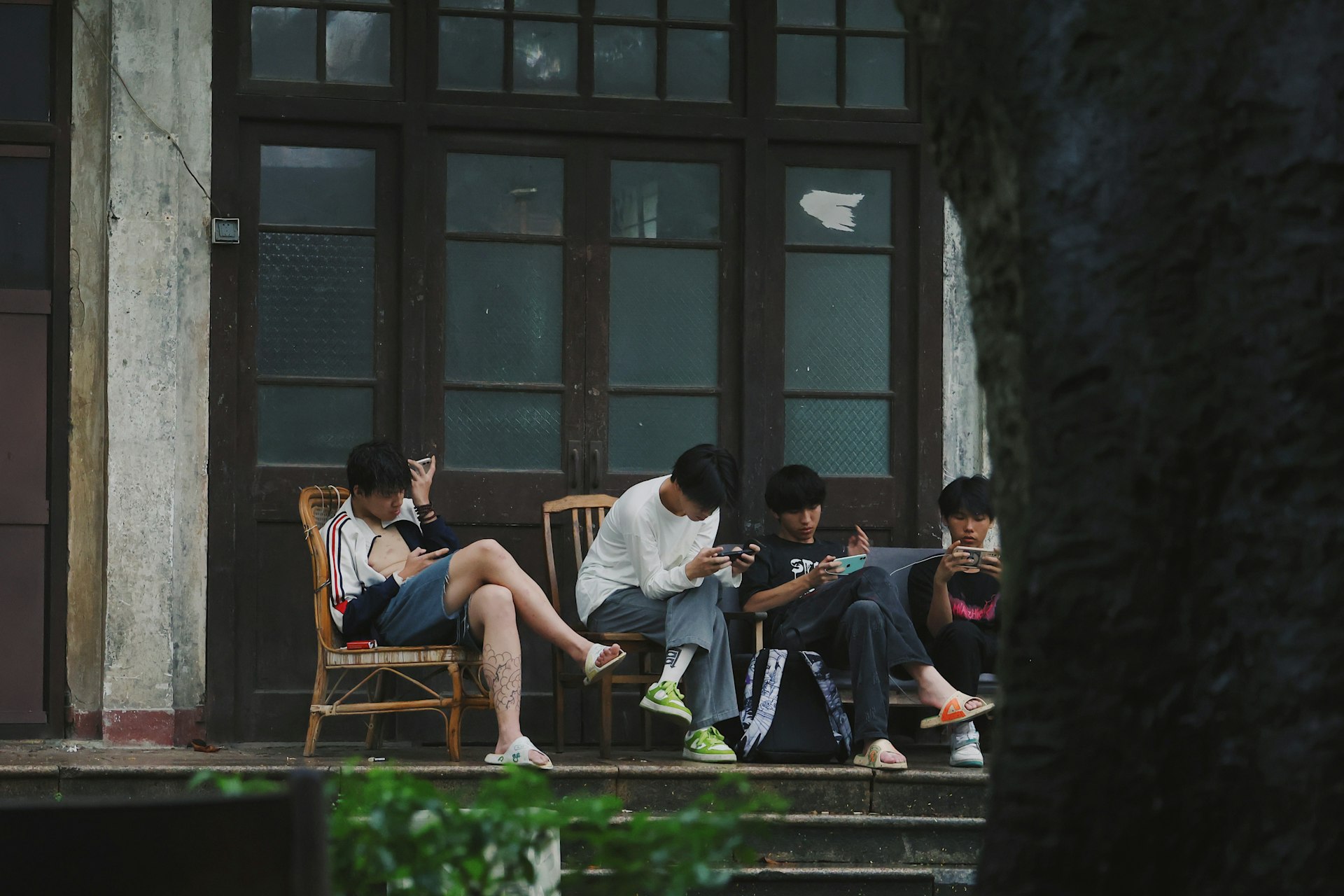 A group of people sitting on a porch next to a tree